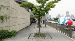 川の駅“はちけんや” 川沿い風景